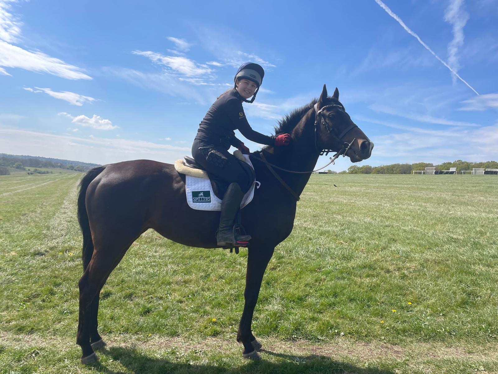 The Woodland Yard paddock, Redhill Surrey